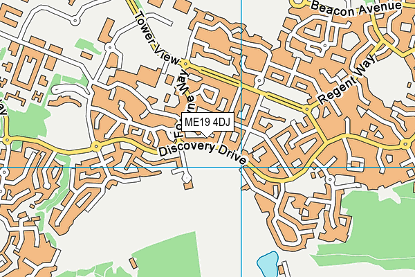 ME19 4DJ map - OS VectorMap District (Ordnance Survey)