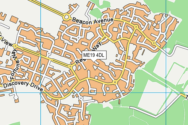 ME19 4DL map - OS VectorMap District (Ordnance Survey)