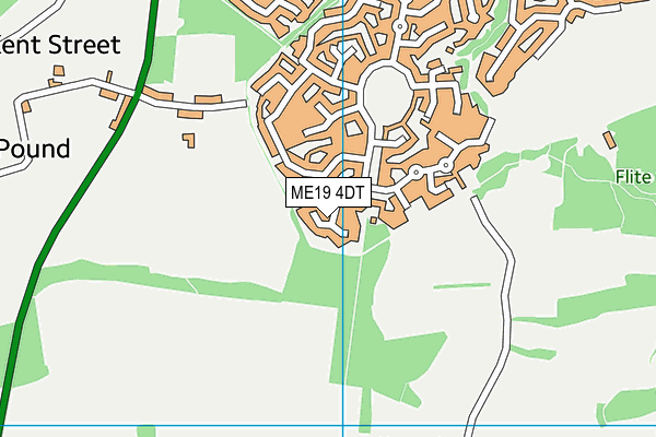 ME19 4DT map - OS VectorMap District (Ordnance Survey)