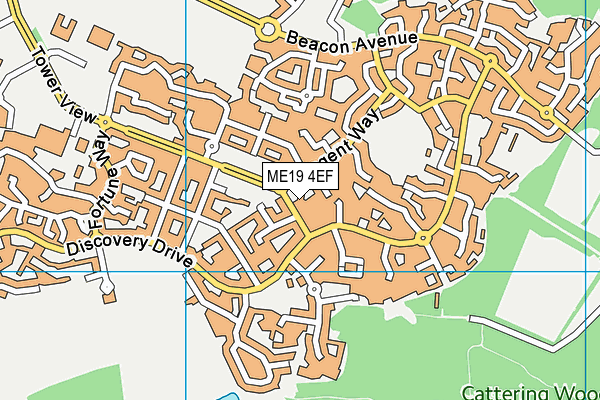 ME19 4EF map - OS VectorMap District (Ordnance Survey)