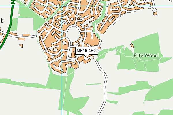 ME19 4EG map - OS VectorMap District (Ordnance Survey)