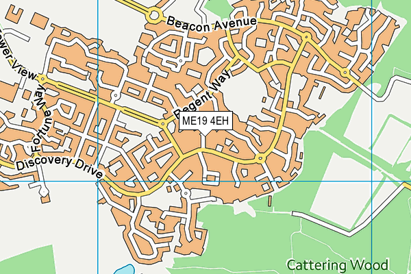 ME19 4EH map - OS VectorMap District (Ordnance Survey)