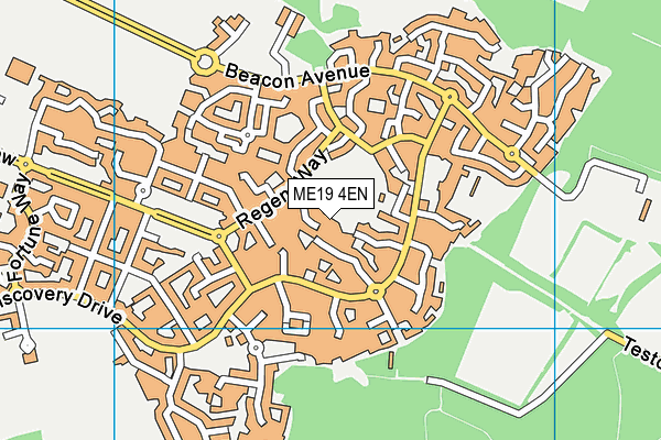 ME19 4EN map - OS VectorMap District (Ordnance Survey)