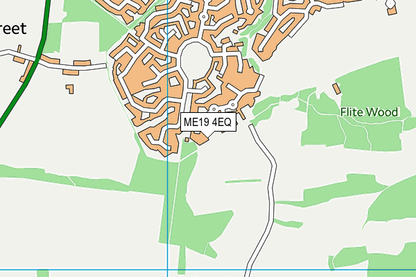 ME19 4EQ map - OS VectorMap District (Ordnance Survey)