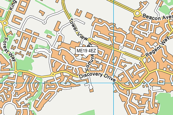 ME19 4EZ map - OS VectorMap District (Ordnance Survey)