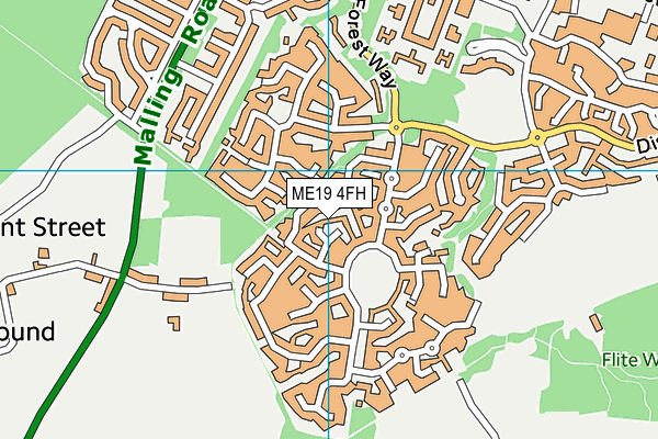 ME19 4FH map - OS VectorMap District (Ordnance Survey)