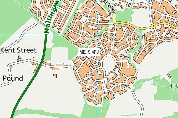 ME19 4FJ map - OS VectorMap District (Ordnance Survey)