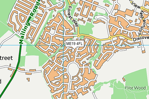 ME19 4FL map - OS VectorMap District (Ordnance Survey)