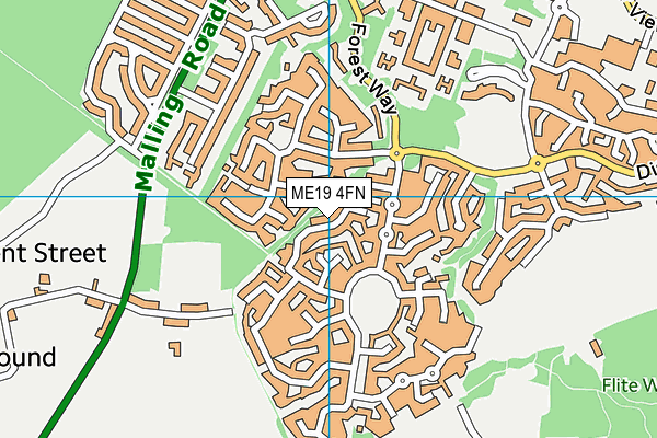 ME19 4FN map - OS VectorMap District (Ordnance Survey)