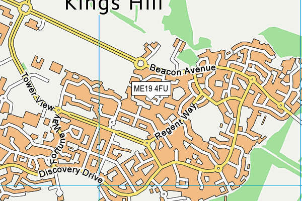 ME19 4FU map - OS VectorMap District (Ordnance Survey)