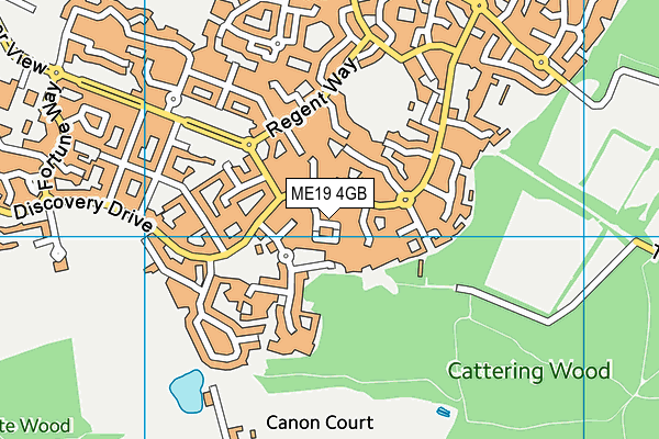 ME19 4GB map - OS VectorMap District (Ordnance Survey)