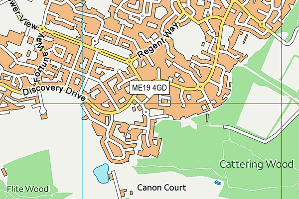 ME19 4GD map - OS VectorMap District (Ordnance Survey)