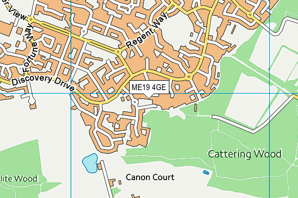 ME19 4GE map - OS VectorMap District (Ordnance Survey)