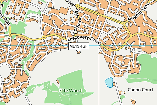 ME19 4GF map - OS VectorMap District (Ordnance Survey)