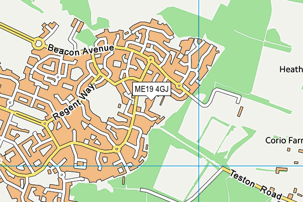ME19 4GJ map - OS VectorMap District (Ordnance Survey)