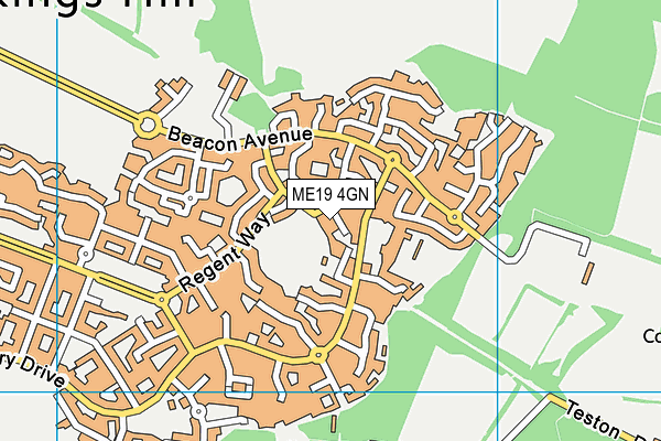 ME19 4GN map - OS VectorMap District (Ordnance Survey)