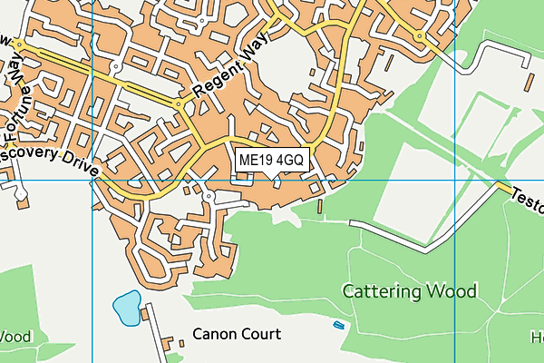 ME19 4GQ map - OS VectorMap District (Ordnance Survey)