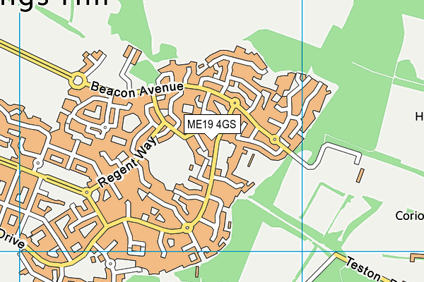 ME19 4GS map - OS VectorMap District (Ordnance Survey)
