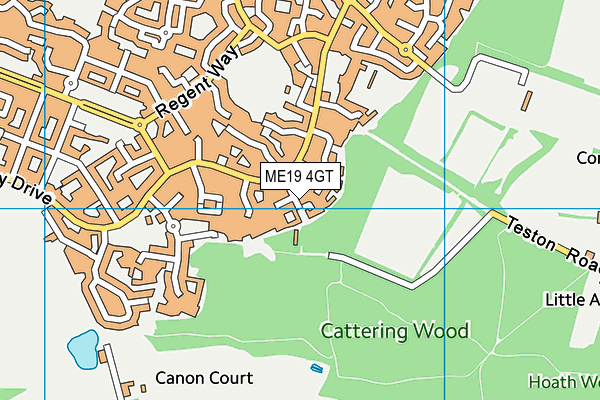 ME19 4GT map - OS VectorMap District (Ordnance Survey)