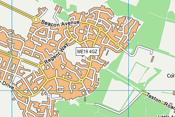 ME19 4GZ map - OS VectorMap District (Ordnance Survey)