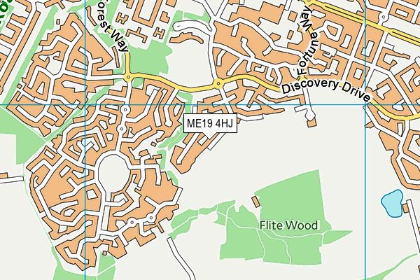 ME19 4HJ map - OS VectorMap District (Ordnance Survey)