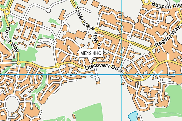 ME19 4HQ map - OS VectorMap District (Ordnance Survey)