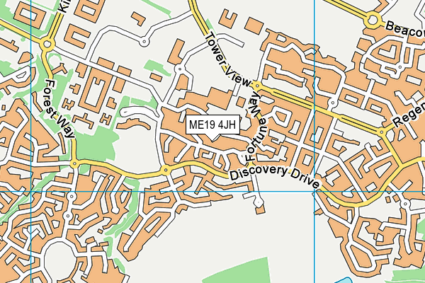 ME19 4JH map - OS VectorMap District (Ordnance Survey)