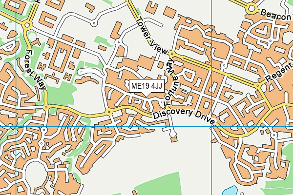 ME19 4JJ map - OS VectorMap District (Ordnance Survey)