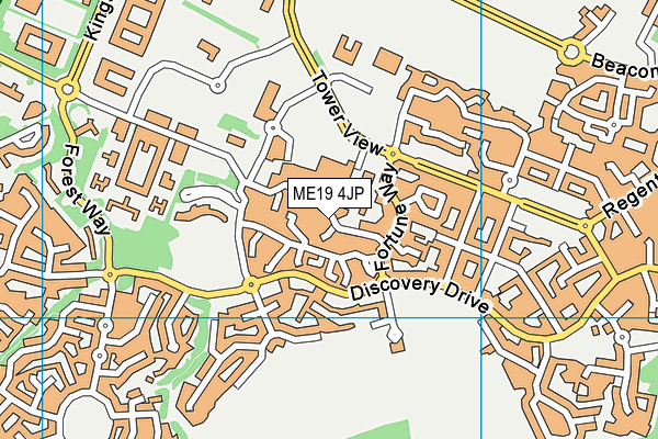 ME19 4JP map - OS VectorMap District (Ordnance Survey)