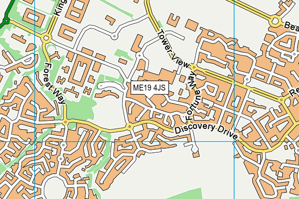 ME19 4JS map - OS VectorMap District (Ordnance Survey)