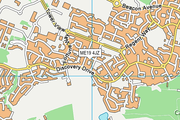 ME19 4JZ map - OS VectorMap District (Ordnance Survey)