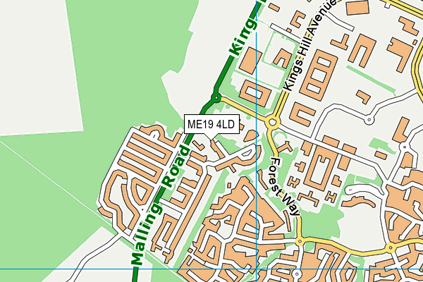 ME19 4LD map - OS VectorMap District (Ordnance Survey)