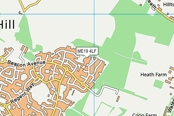 ME19 4LF map - OS VectorMap District (Ordnance Survey)