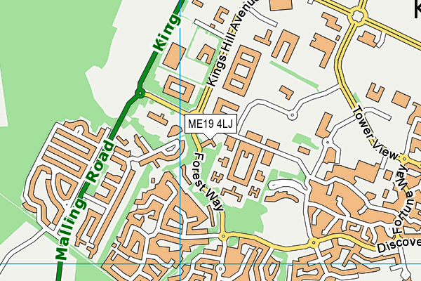 ME19 4LJ map - OS VectorMap District (Ordnance Survey)