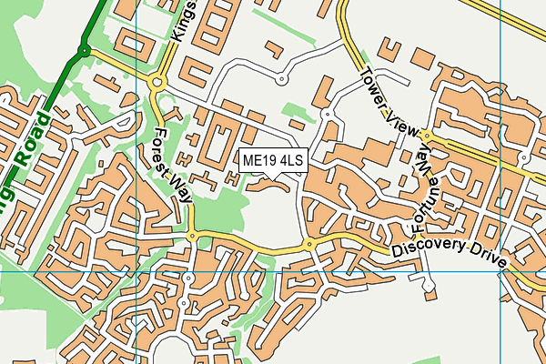 Kings Hill School map (ME19 4LS) - OS VectorMap District (Ordnance Survey)