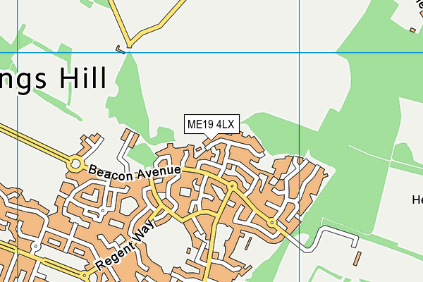 ME19 4LX map - OS VectorMap District (Ordnance Survey)