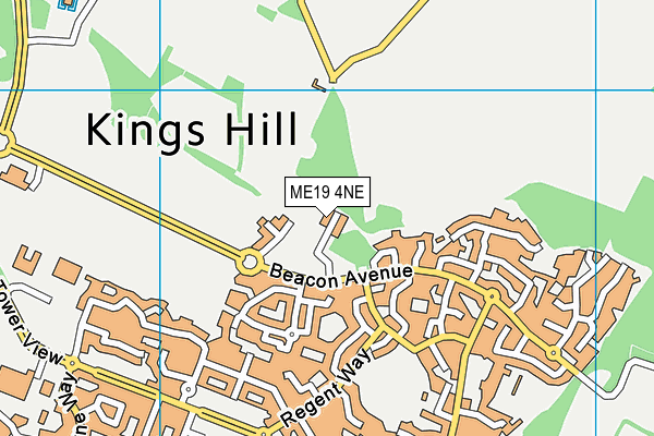 ME19 4NE map - OS VectorMap District (Ordnance Survey)