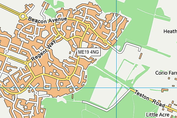 ME19 4NG map - OS VectorMap District (Ordnance Survey)