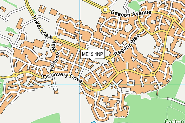 ME19 4NP map - OS VectorMap District (Ordnance Survey)