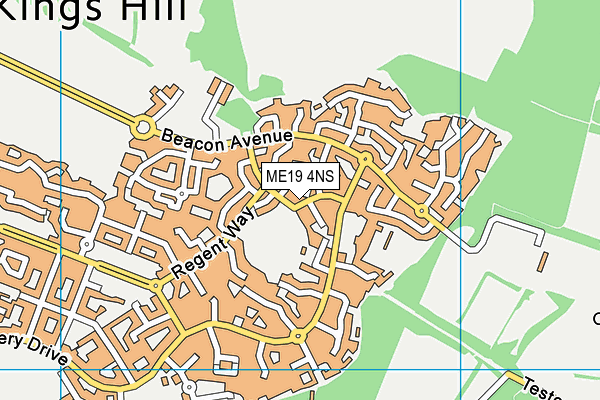 ME19 4NS map - OS VectorMap District (Ordnance Survey)