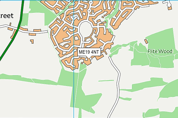 ME19 4NT map - OS VectorMap District (Ordnance Survey)