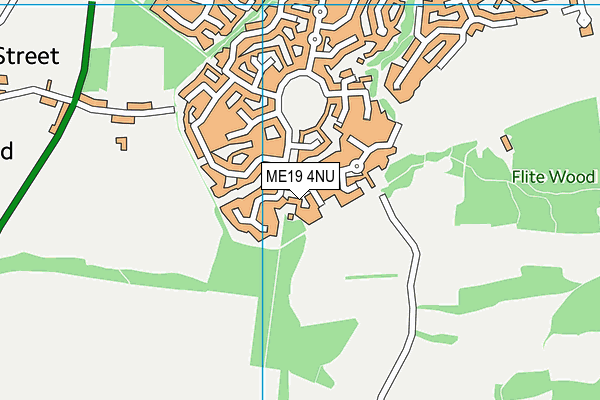 ME19 4NU map - OS VectorMap District (Ordnance Survey)