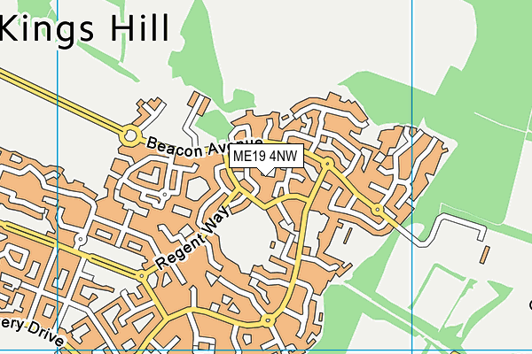 ME19 4NW map - OS VectorMap District (Ordnance Survey)