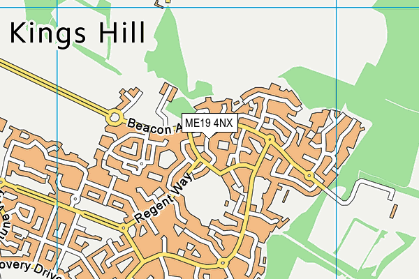 ME19 4NX map - OS VectorMap District (Ordnance Survey)