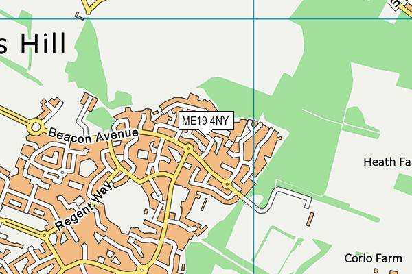 ME19 4NY map - OS VectorMap District (Ordnance Survey)
