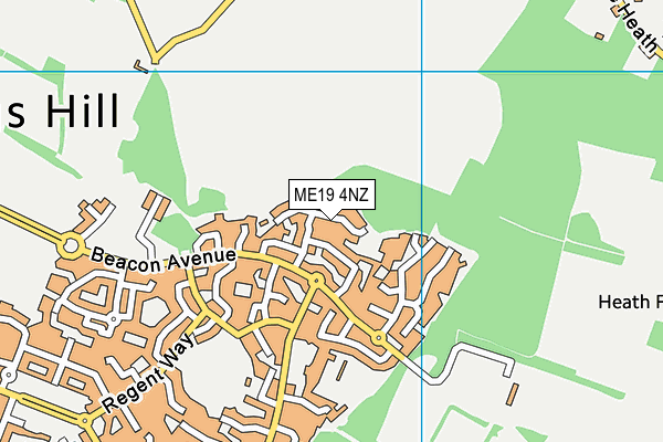 ME19 4NZ map - OS VectorMap District (Ordnance Survey)