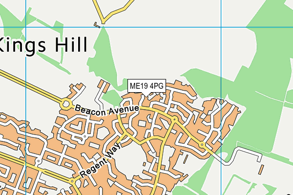 ME19 4PG map - OS VectorMap District (Ordnance Survey)