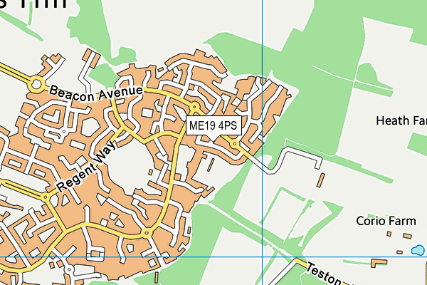 ME19 4PS map - OS VectorMap District (Ordnance Survey)