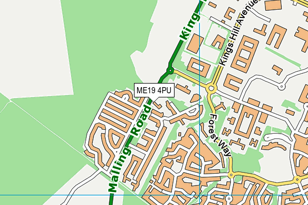 ME19 4PU map - OS VectorMap District (Ordnance Survey)