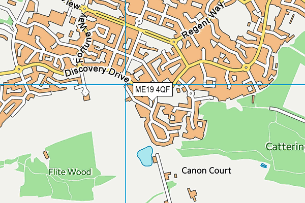 ME19 4QF map - OS VectorMap District (Ordnance Survey)